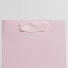 Пакет подарочный под бутылку, упаковка, «Розовый», 13 x 35 x 10 см - фото 7325719
