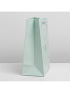 Пакет подарочный, упаковка, «Милая лягушка», 16.5 х 14 х 7 см - Фото 2