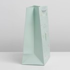 Пакет подарочный, упаковка, «Милая лягушка», 33 х 25 х 12 см - Фото 2