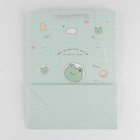 Пакет подарочный, упаковка, «Милая лягушка», 33 х 25 х 12 см - Фото 4