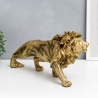 Сувенир полистоун "Лев - король Африки" золото 37х18 см 7486127 - фото 16284217