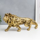 Сувенир полистоун "Лев - король Африки" золото 37х18 см 7486127 - фото 16284220