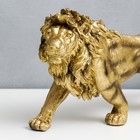 Сувенир полистоун "Лев - король Африки" золото 37х18 см 7486127 - фото 16284221