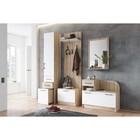 Тумба под обувь Денвер, 900х380х750, Дуб сонома/Белый - фото 21490782