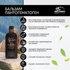 Бальзам безалкогольный Алтайский пантогематоген, 250 мл - фото 23902735