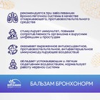 Бальзам Бронхонорм, 250 мл 7690205