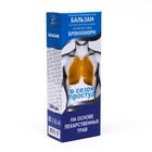 Бальзам Бронхонорм, 250 мл 7690205