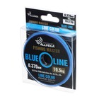 Леска монофильная ALLVEGA Fishing Master, диаметр 0.370 мм, тест 10.5 кг, 30 м, голубая - Фото 2