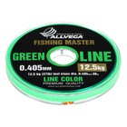 Леска монофильная ALLVEGA Fishing Master, диаметр 0.405 мм, тест 12.5 кг, 30 м, зеленая - фото 318781629
