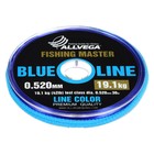 Леска монофильная ALLVEGA Fishing Master, диаметр 0.520 мм, тест 19,1 кг, 30 м, голубая - фото 15474864