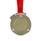 Медаль детская на выпускной «Выпускник детского сада», на ленте, золото, металл, d=5.5 см - Фото 4