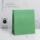 Пакет крафтовый Green, 22 × 25 × 12 см - фото 9576275