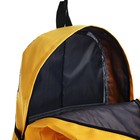 Рюкзак школьный на молнии из текстиля, 3 кармана, цвет жёлтый - фото 7315513