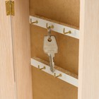 Ключница настенная «Пять перьев», молочный дуб, 16×31 см, МИКС - фото 21491706