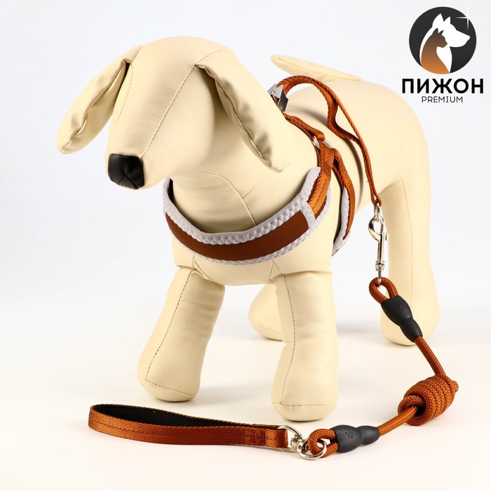 Шлейка с поводком, размер M, ОШ 32-72 см, ОГ 32-72 см, поводок 120×1.5 см, мягкая, со светоотражающей нашивкой, с вертлюгом, коричневая - Фото 1