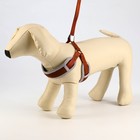 Шлейка с поводком, размер M, ОШ 32-72 см, ОГ 32-72 см, поводок 120×1.5 см, мягкая, со светоотражающей нашивкой, с вертлюгом, коричневая - Фото 2