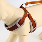 Шлейка с поводком, размер M, ОШ 32-72 см, ОГ 32-72 см, поводок 120×1.5 см, мягкая, со светоотражающей нашивкой, с вертлюгом, коричневая - Фото 3