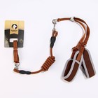 Шлейка с поводком, размер M, ОШ 32-72 см, ОГ 32-72 см, поводок 120×1.5 см, мягкая, со светоотражающей нашивкой, с вертлюгом, коричневая - Фото 6