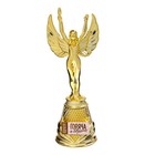 Кубок наградная фигура Ника «Горяча и бешена», пластик, золото, 19,3 х 7 см. - фото 320894982