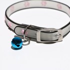 Ошейник "Лапки", 28 х 1 см, ОШ 18-24 см, прозрачный/розовый - фото 25360350