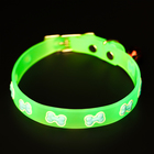 Ошейник "Косточки", 28 х 1 см, ОШ 18-24 см, прозрачный/голубой - фото 23691014