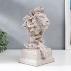 Сувенир полистоун бюст "Лев" белый 32х15х19 см - фото 25587253