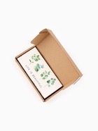 Набор женских носков KAFTAN Life 5 пар, р-р 36-39 (23-25 см) - фото 809602658