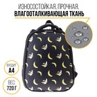 Рюкзак школьный каркасный  38 х 30 х 16 см  8211Б эргономичная спинка  «1 сентября: Банан», черный - Фото 2