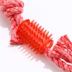 Игрушка канатная с жевательными элементами "Зубочистка", 45 см, микс цветов - Фото 4