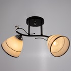 Люстра 2002/2 E27 60Вт черный+хром 44х26х25 см BayerLux - фото 21493468