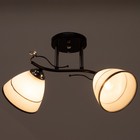 Люстра 2002/2 E27 60Вт черный+хром 44х26х25 см BayerLux - фото 21493469