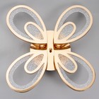 Люстра с ПДУ 1829/4GD LED 128Вт 3000-6000К диммер хромированное золото 58х46х6,5 см BayerLux - фото 35303299