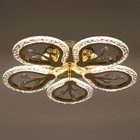 Люстра с ПДУ 1840/5GD LED 80 Вт 3000-6000К диммер хромированное золото 51×51×8 см BayerLux - фото 3772990