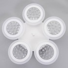 Люстра с ПДУ 1968/5 LED 170Вт 3000-6000К диммер белый 58х58х6 см BayerLux - фото 34639562