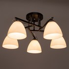 Люстра 1999/5 E27 60 Вт черный+хром 55×55×25 см BayerLux - фото 4367756