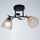 Люстра 2005/2 E27 60Вт черный+хром 44х26х25 см BayerLux - фото 21493609