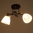 Люстра 2005/2 E27 60Вт черный+хром 44х26х25 см BayerLux - фото 21493610