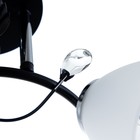 Люстра 2005/2 E27 60Вт черный+хром 44х26х25 см BayerLux - фото 21493611