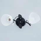 Люстра 2005/2 E27 60Вт черный+хром 44х26х25 см BayerLux - фото 21493615