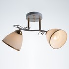 Люстра 2021/2 E27 60Вт белый+золото 46х28х26 см BayerLux - фото 24368128