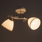 Люстра 2021/2 E27 60Вт белый+золото 46х28х26 см BayerLux - фото 24368129