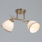 Люстра 2025/2 E27 60Вт золото 46х28х26 см BayerLux 6936332