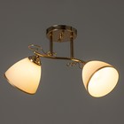 Люстра 2025/2 E27 60Вт золото 46х28х26 см BayerLux 6936332