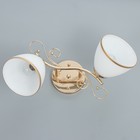 Люстра 2025/2 E27 60Вт золото 46х28х26 см BayerLux 6936332