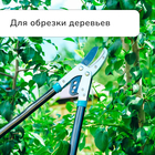 Сучкорез контактный, 31" (79 см), с наковальней, с пластиковыми ручками, МИКС, Greengo - Фото 5