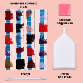 

Алмазная мозаика с частичным заполнением «Девушка-воин» без рамы 30х40 см