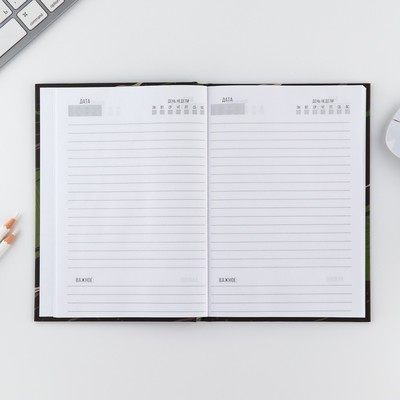 Подарочный набор «23 февраля медведь», ежедневник А5, 80 л в твердой обложке и ручка