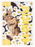 Чай подарочный «На счастье», 4 пакетика × 1.8 г - Фото 3