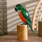 Сувенир дерево "Попугай" зелёный 22 см - фото 804737760