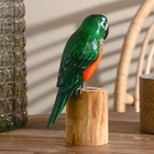 Сувенир дерево "Попугай" зелёный 22 см - фото 804737761